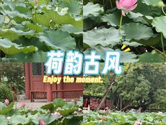 -莲池书院博物馆