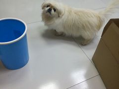 -惠康宠物医院(华能路店)