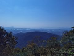 -惠山国家森林公园