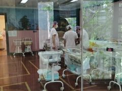 -福田家月子中心 产后 月嫂(市立母子医院店)