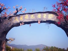 -天适樱花悠乐园