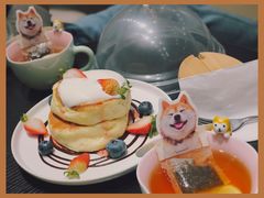 -逗柴咖啡屋·狗咖猫咖宠物桌游