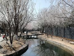 -三里河公园