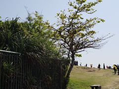 -鹅銮鼻公园