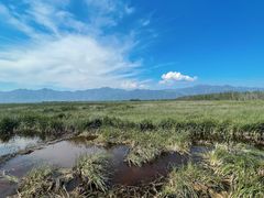 -野鸭湖国家湿地公园