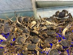 -川骄海鲜自助(河东店)