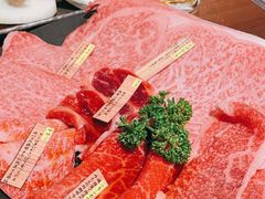 -俺的焼肉(銀座9丁目店)