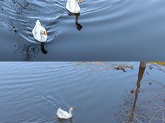 -神光山国家森林公园