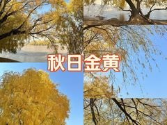 -上海交通大学(闵行校区)