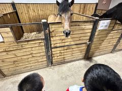 -李振强马术运动推广中心(南城店)