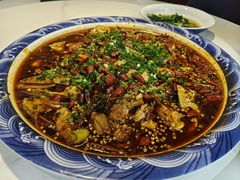 -新概念来凤鱼(璧山店)