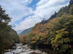 -光雾山旅游景区
