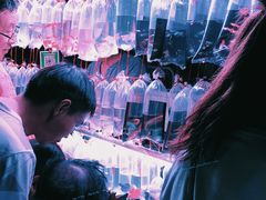 -中环花鸟鱼虫市场