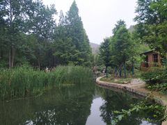 -白水寺森林公园