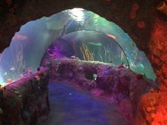 -沈阳海洋探索中心