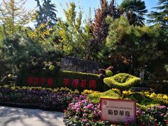 -莲湖公园