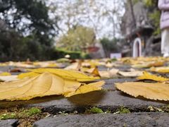 -桂林独秀峰王城景区
