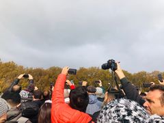 -白金汉宫