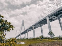 -芒洲湿地公园