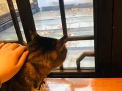 -猫的天空之城概念书店(杭州南宋御街店)