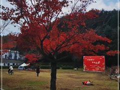 -四明山国家森林公园