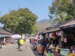 -灵岩山风景区