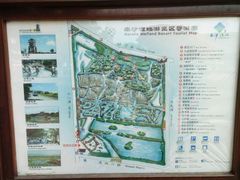 -大湾区中央湿地公园