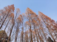 -中山公园
