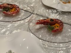 -广州四季酒店·佰鲜汇·现代法餐