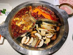 奔驰牛蛙锅-大龙燚火锅(天钥桥路店)