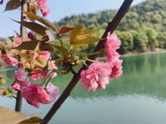 -石燕湖生态旅游景区