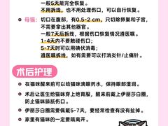 -守诺宠物医院·眼科· 特色牙科·异宠专科(虹口店)