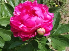 -狼山风景名胜区