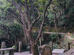 -梧桐山风景名胜区