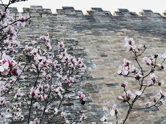 -东华门大街小区