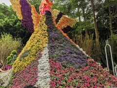 -深圳仙湖植物园