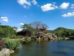 -顺峰山公园