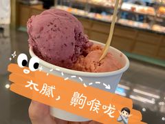 -Sunflour(来福士店)