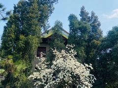 -陕西师范大学(雁塔校区)
