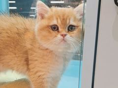 -FAELING PETS美天灵宠物(合生汇店)