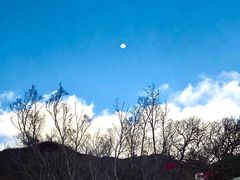 -深圳仙湖植物园