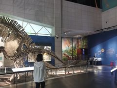 -湖南省地质博物馆