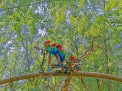 -北京野生动物园
