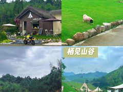 -老李家土菜馆·安吉地标美食