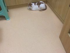 -惠康宠物医院(华能路店)