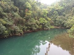 -鼎湖山风景区