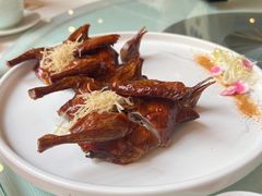 -顺峰(阜成店)