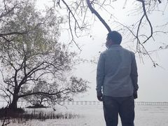 -宝安西湾红树林湿地公园