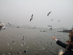 景点-栈桥景区
