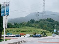 -缙云山景区